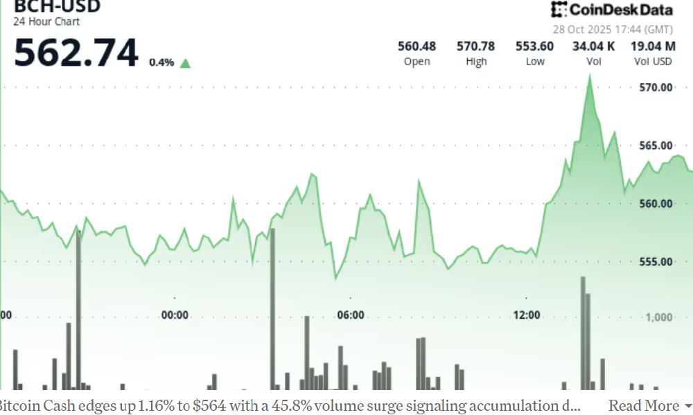 比特币衍生币 BCH 小幅上涨 1%，试图挑战下行趋势
