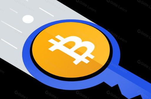 Schnorr 签名对比特币意味着什么？