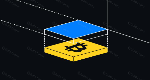 一文了解比特币 L2 网络
